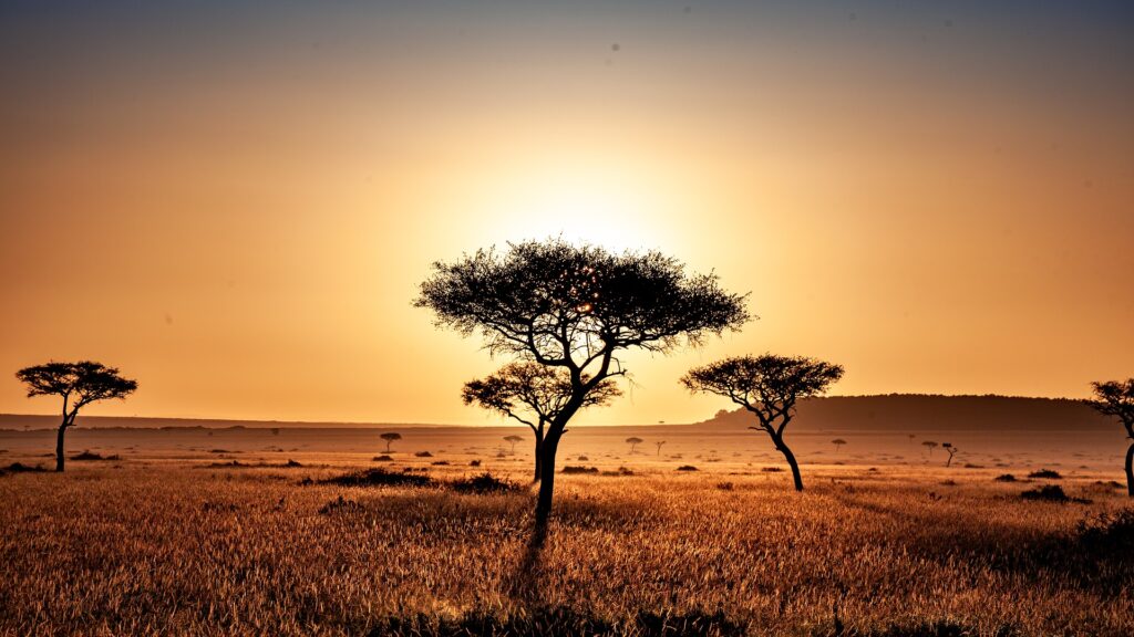 アフリカの風景